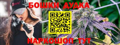 гидра Кулебаки
