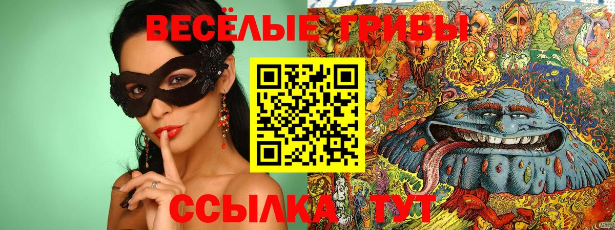 Черняховск  Галлюциногенные грибы Psilocybe  Вход с VPN 