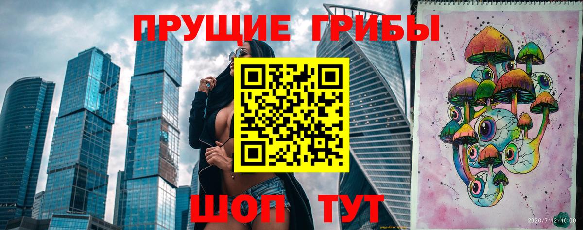 Псилоцибиновые грибы мицелий Черняховск